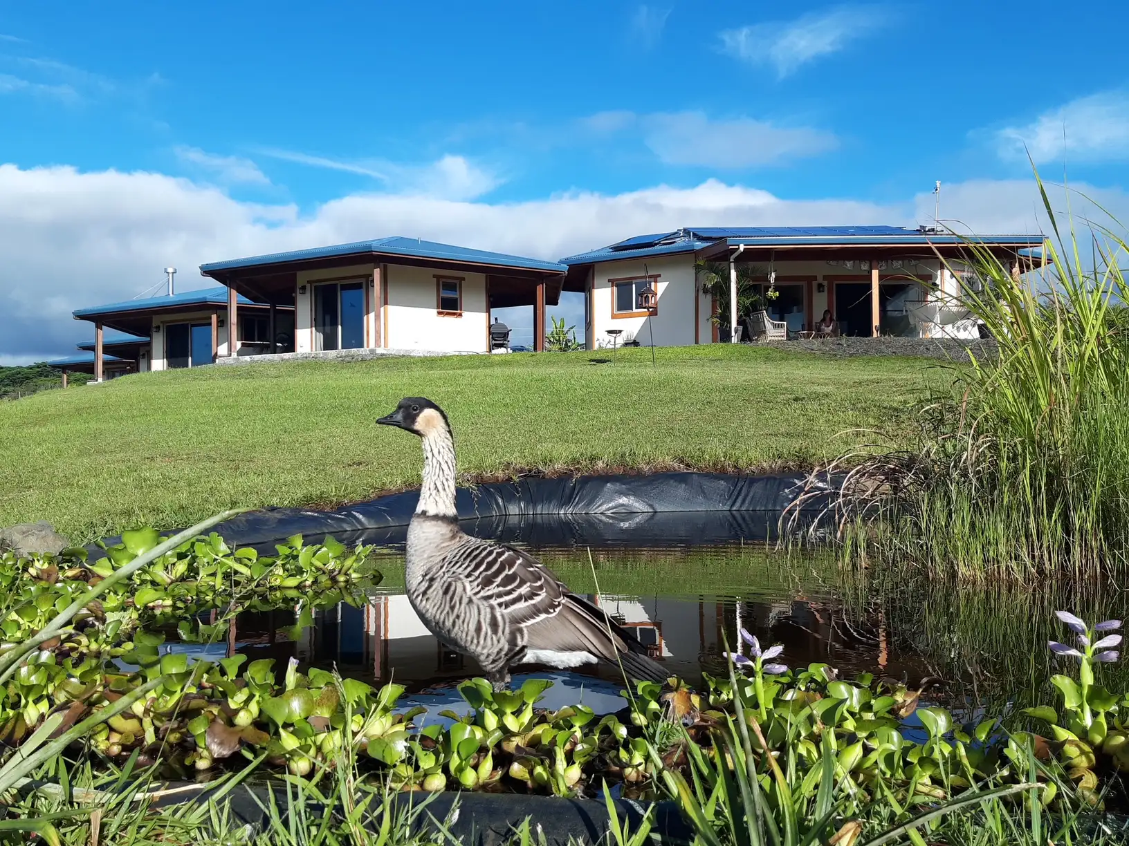 Panchito in front of the guest house