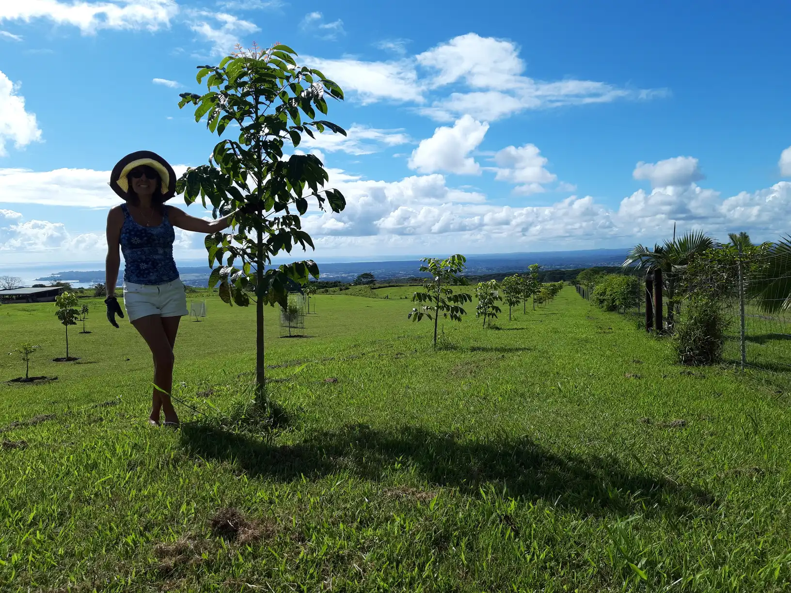 Paola beside a young canopy tree, with rows of newly planted trees and the ocean beyond