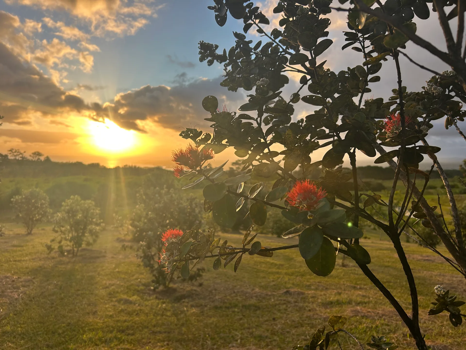 Sunset over the Eco Village ranch