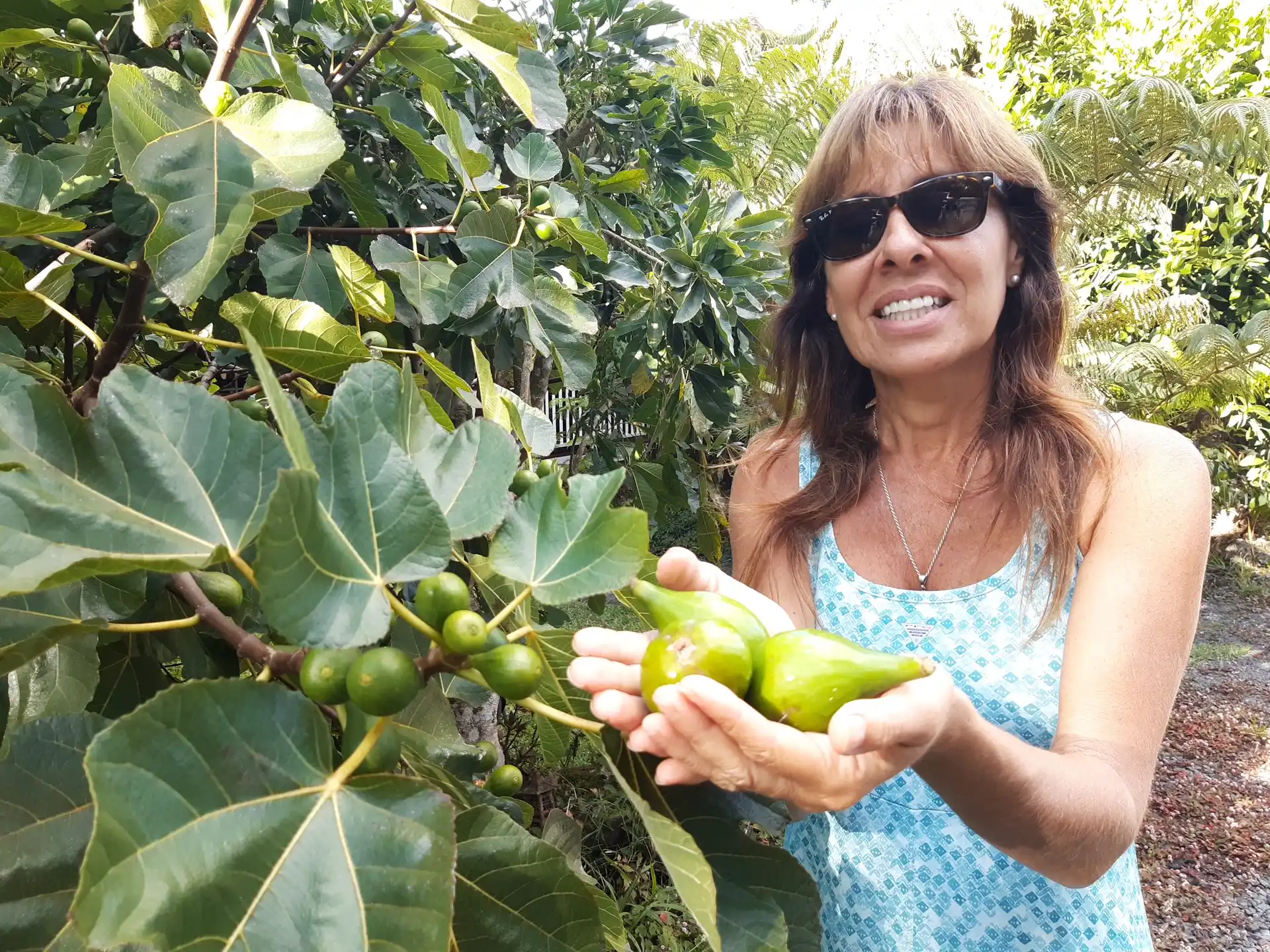 Paola with fruit on a tree