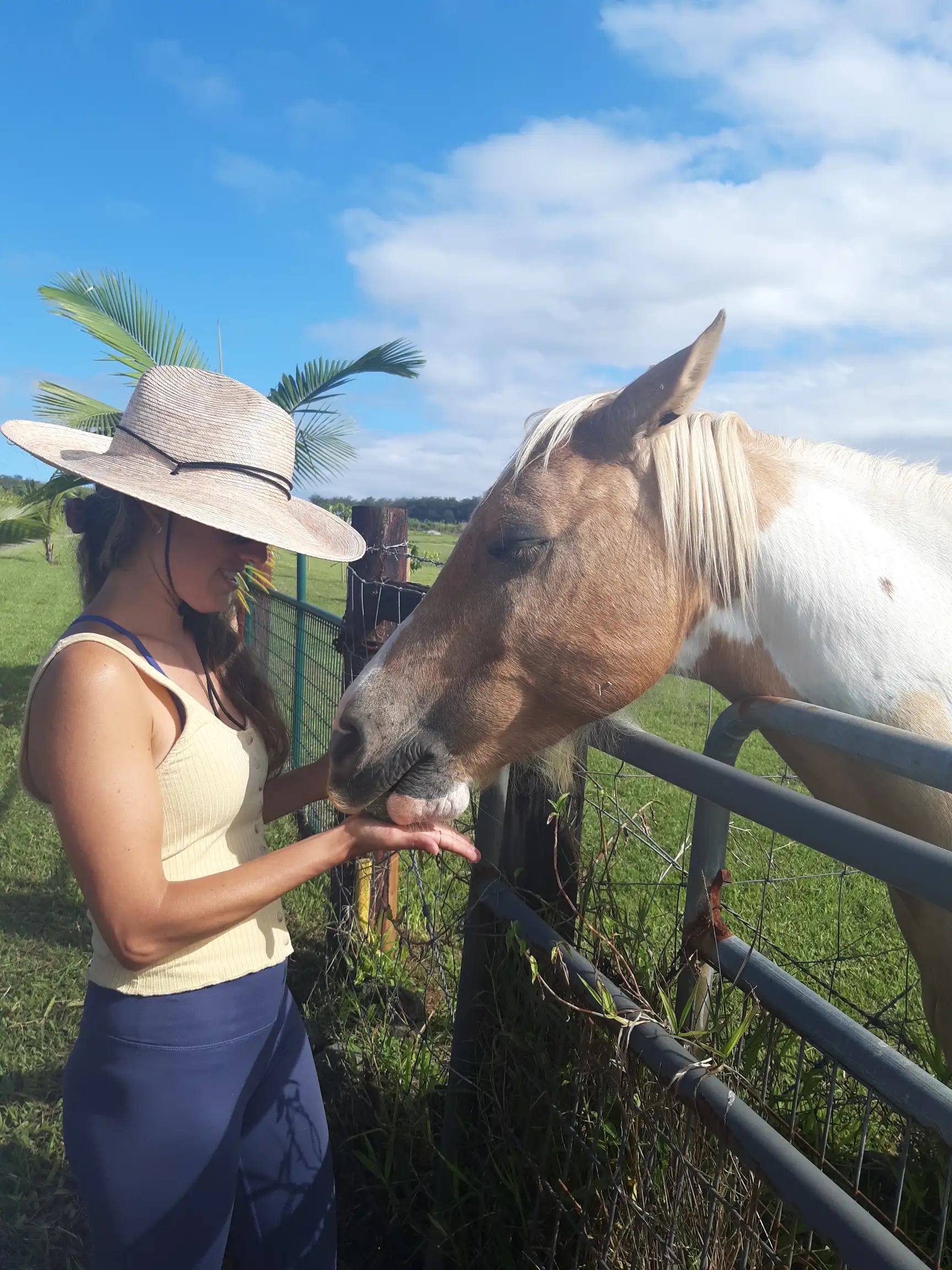 Feeding a horse on the ranch