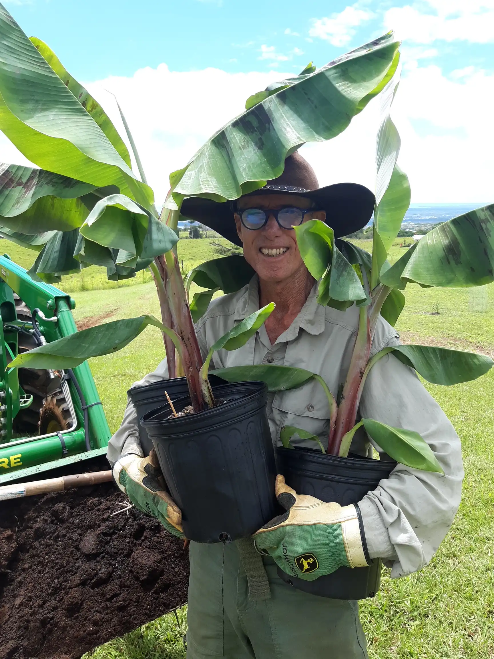 Mau holding tree seeds