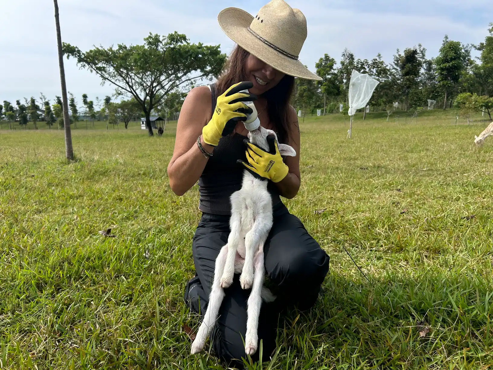 Paola bottle-feeding a lamb on the ranch