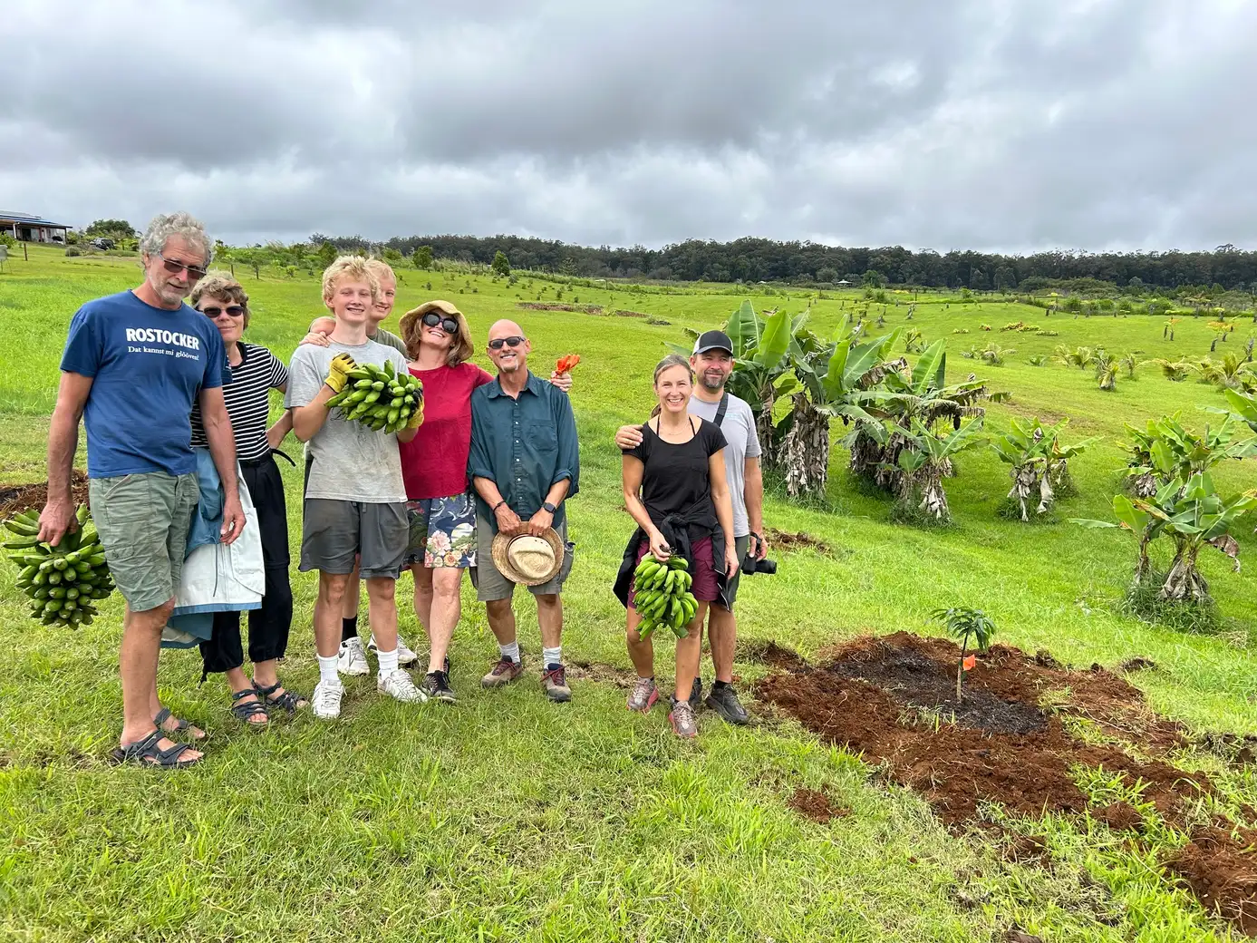 Guests harvesting bananas and planting a tree on the ranch
