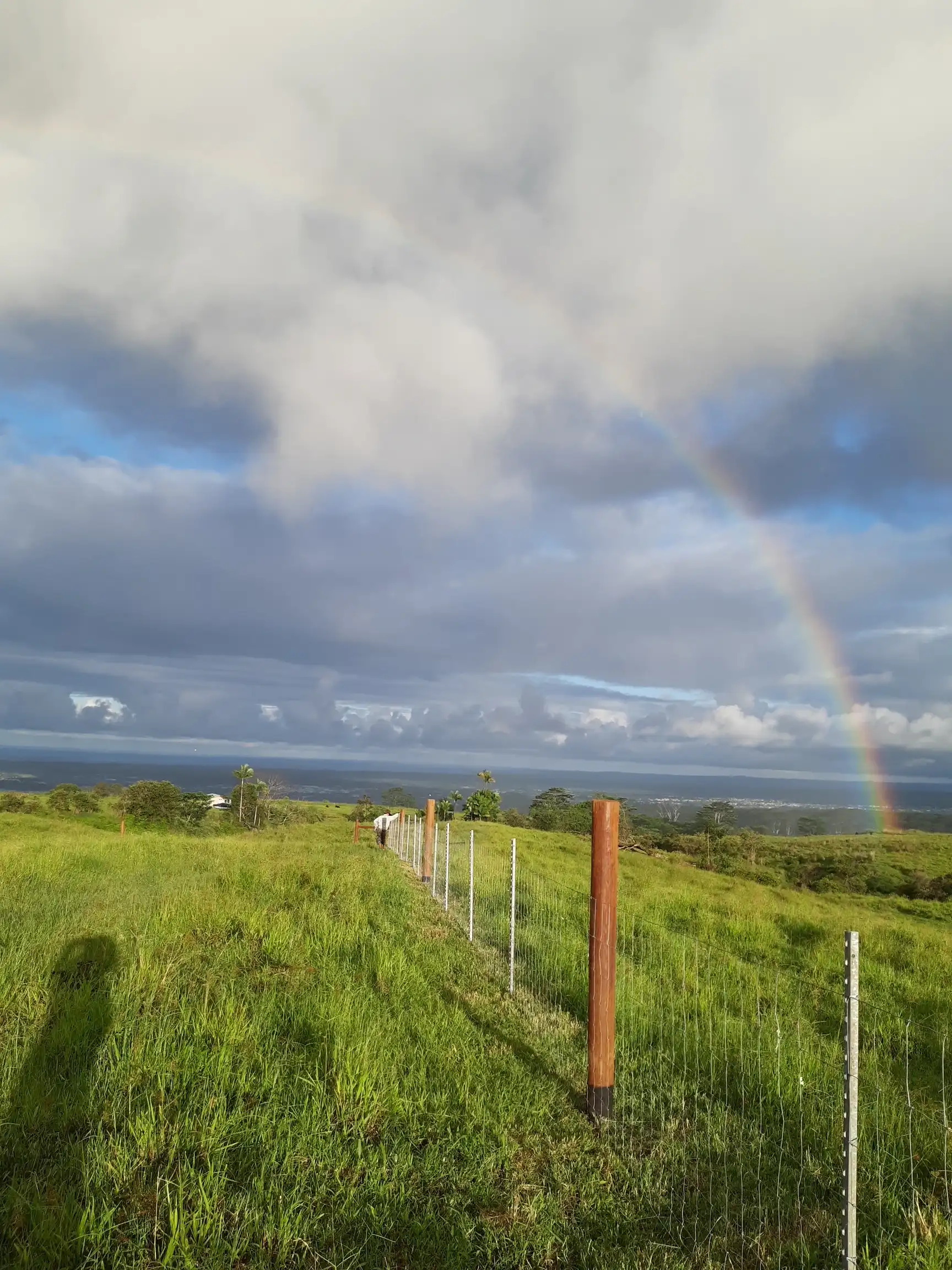 Lush Hawaiian landscape at Eco Village