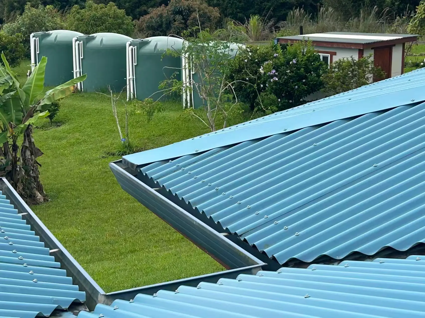 Rainwater collection system on the eco-friendly house