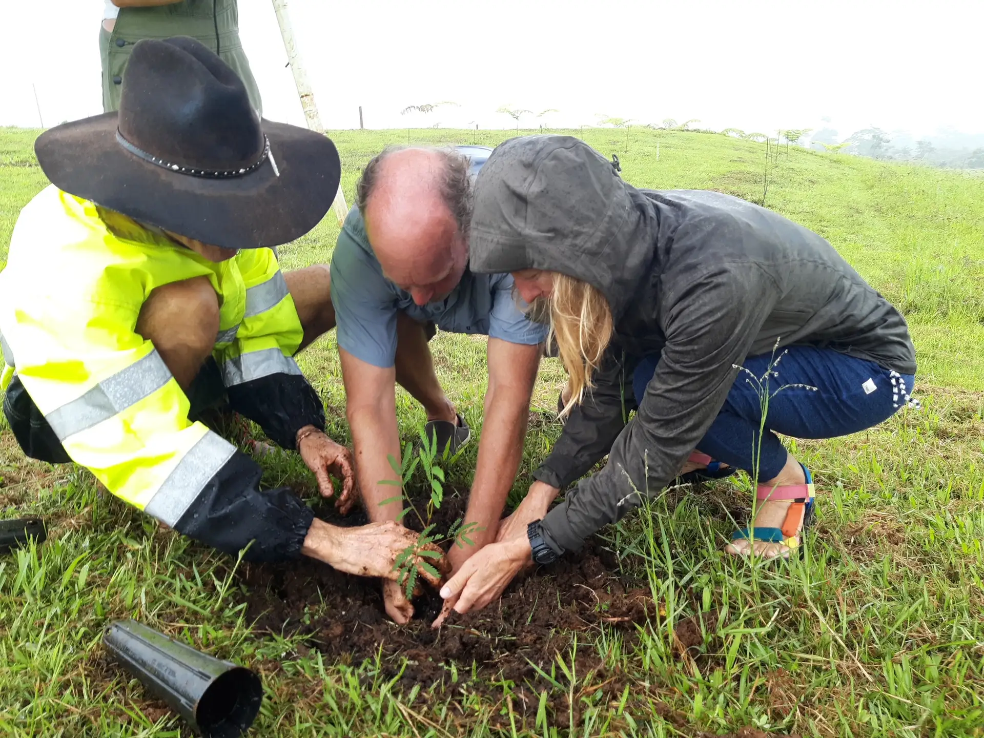 Mau and guests planting trees together
