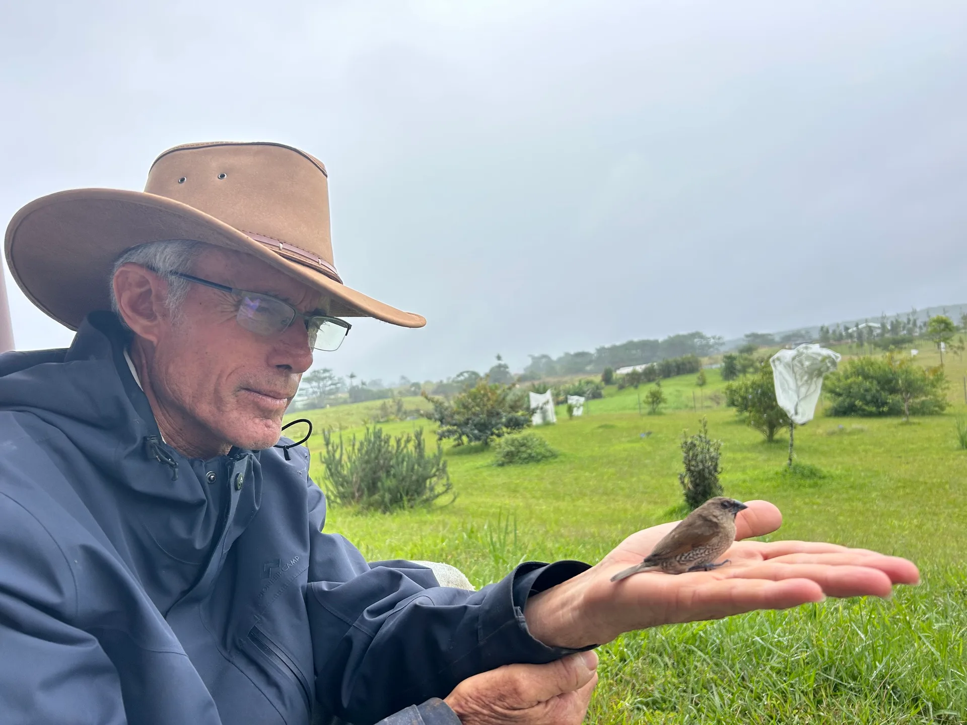Mau gently holding a wild bird returned to the land